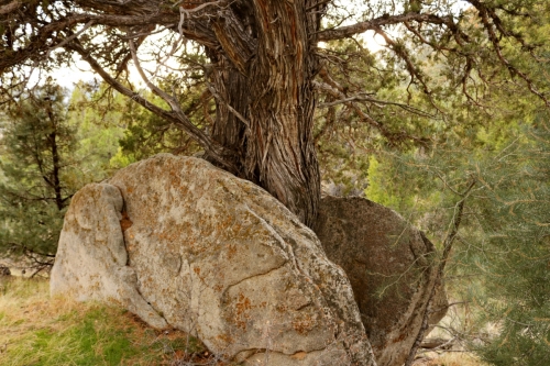 Split Rock