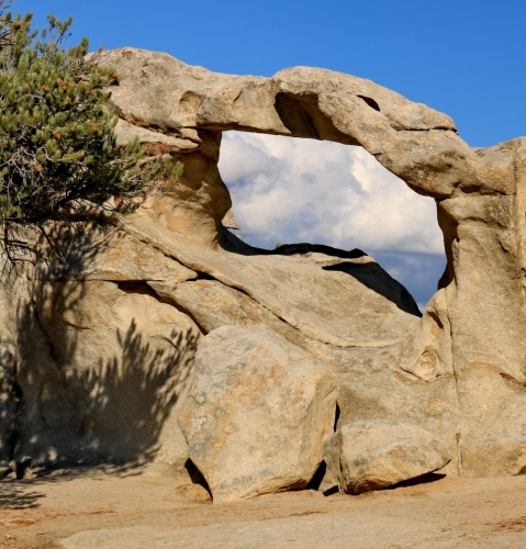 Window Arch
